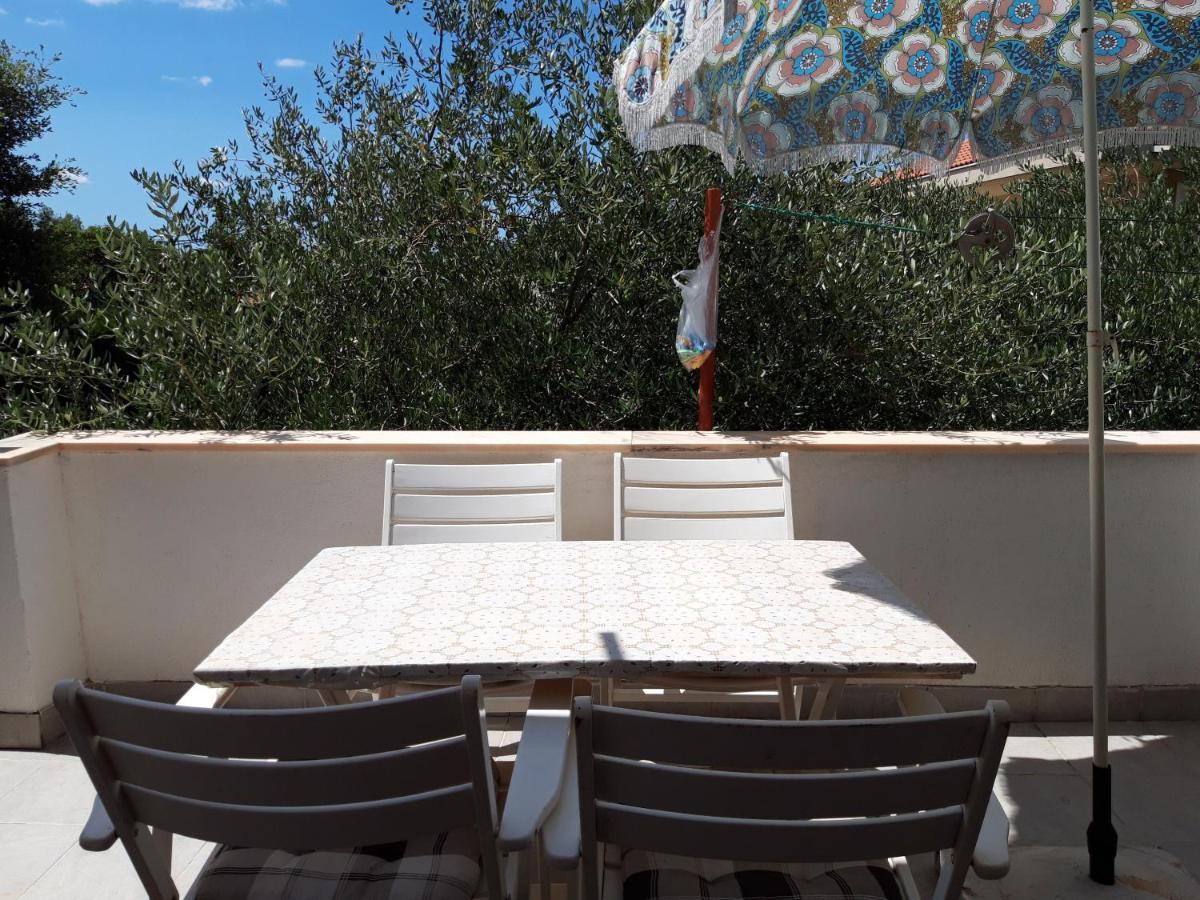 Apartments Ivana Diklo Zadar Extérieur photo